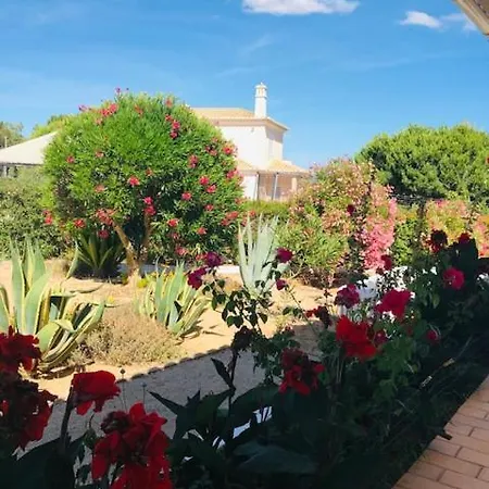 Sofiamar Holidays-Villa Girassol * لاغوا